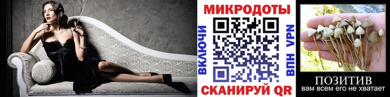 Псилоцибиновые грибы мицелий  Полярный 